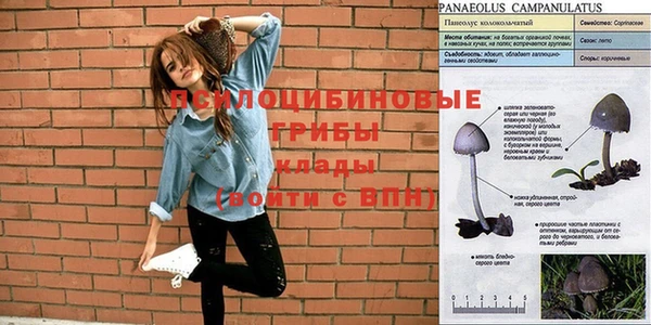 дистиллят марихуана Белокуриха