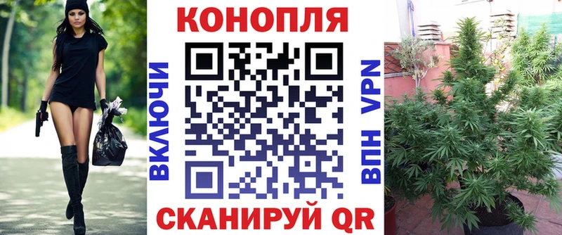 где купить наркотик Брюховецкая Шишки марихуана планчик